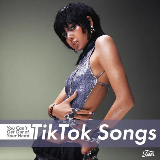 TikTok songs you can't get our of your head | 2024 TikTok songs & viral hits