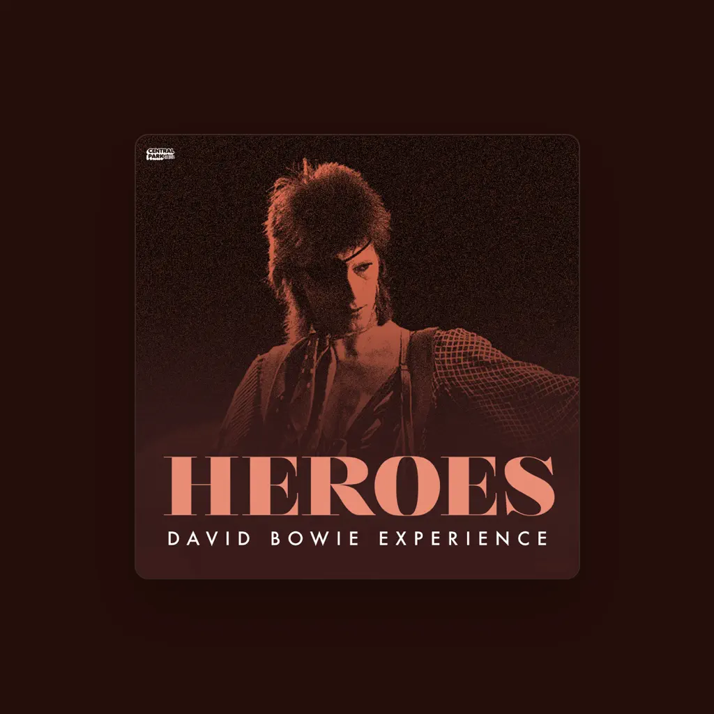David Bowie Experience