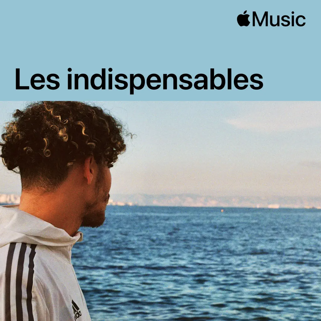 Zamdane : les indispensables
