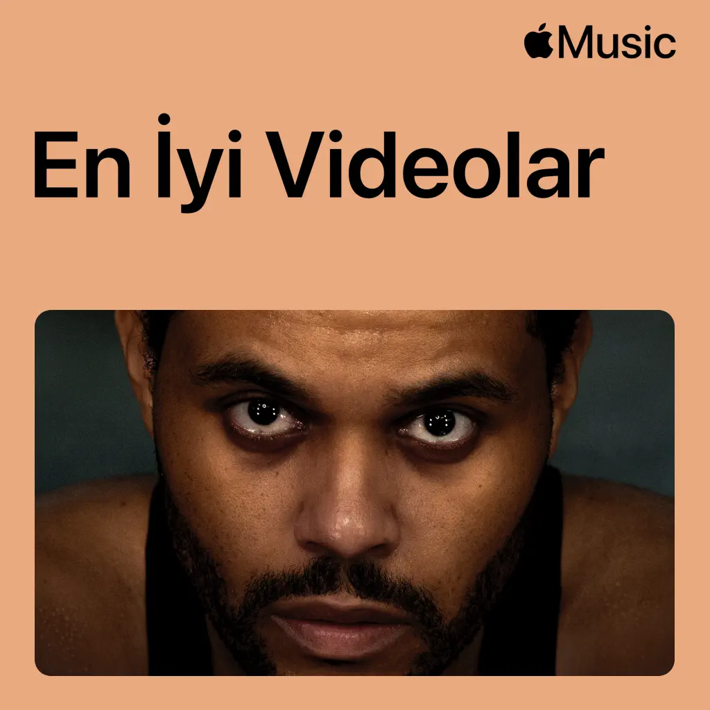 The Weeknd: En İyi Videolar