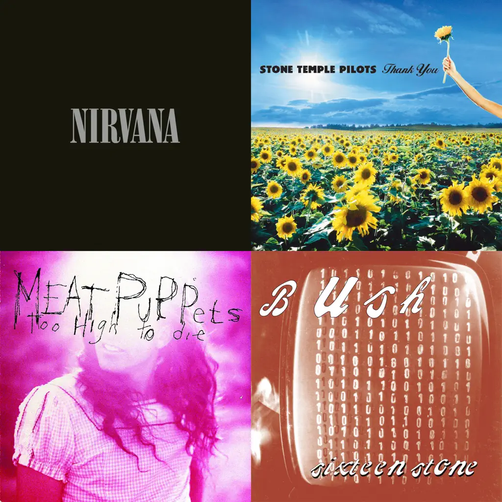 Grunge and Guitars