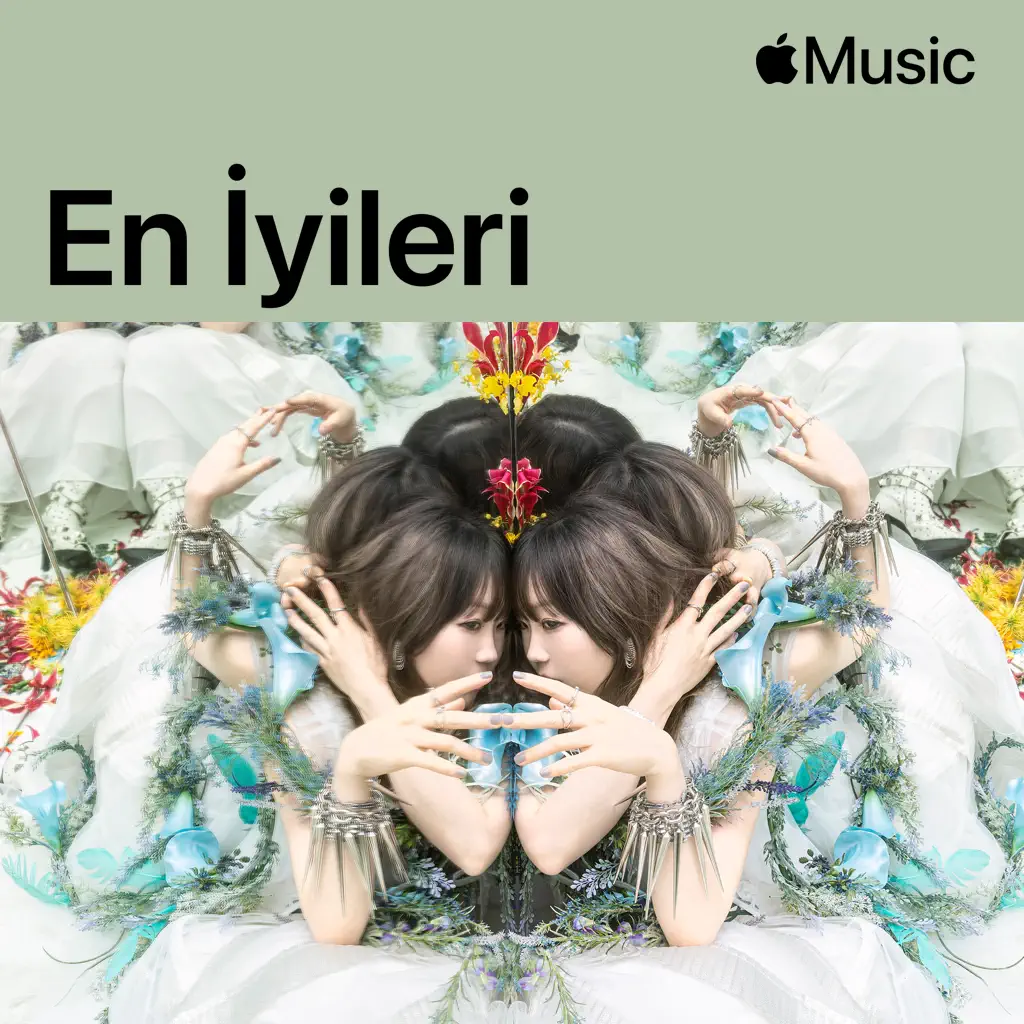 Aimer: En İyileri