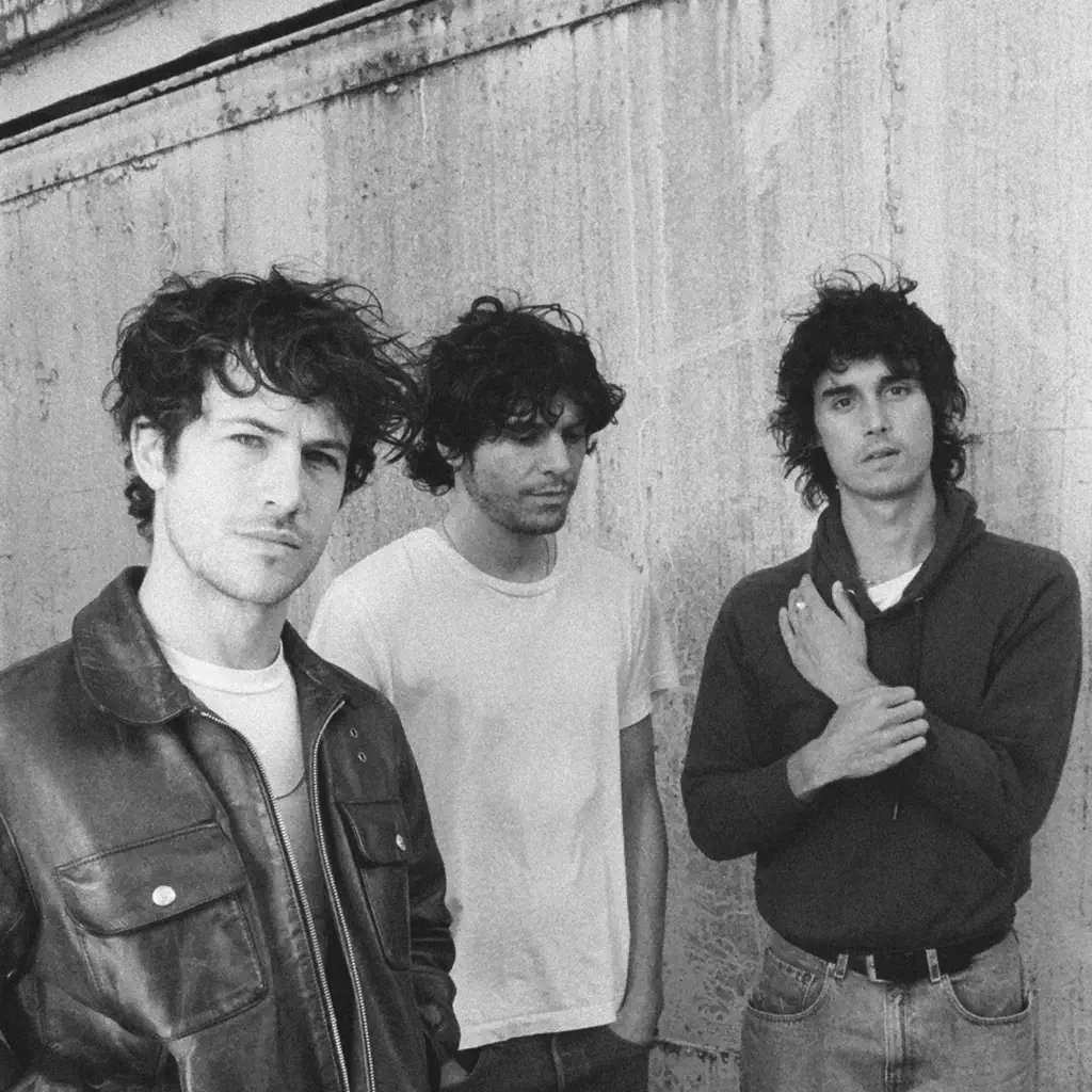 Wallows