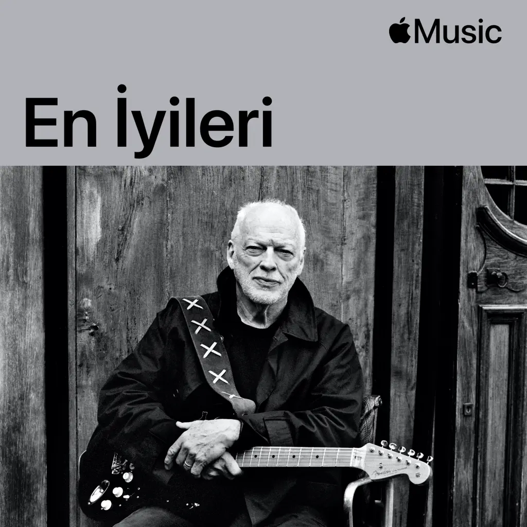 David Gilmour: En İyileri