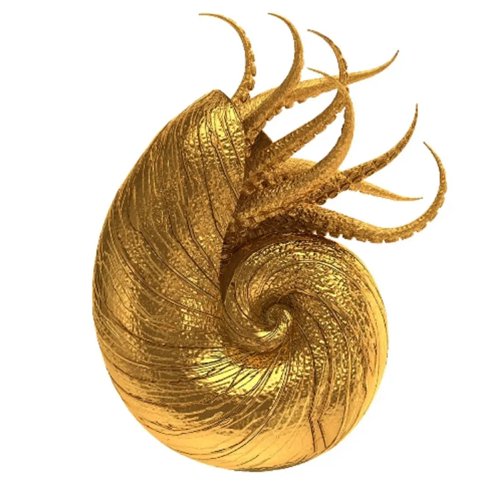 Nautilus Pompilius