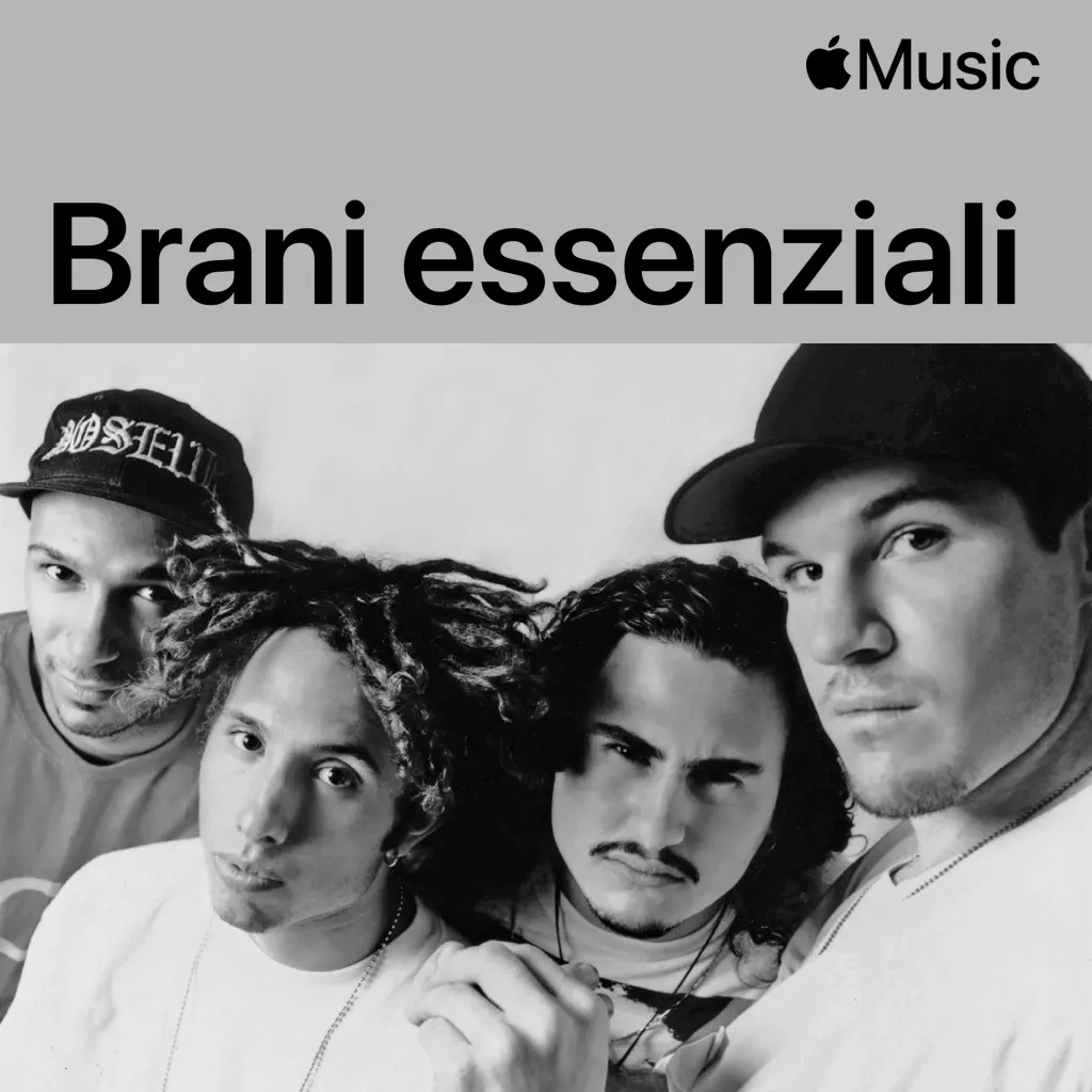 Rage Against the Machine: brani essenziali