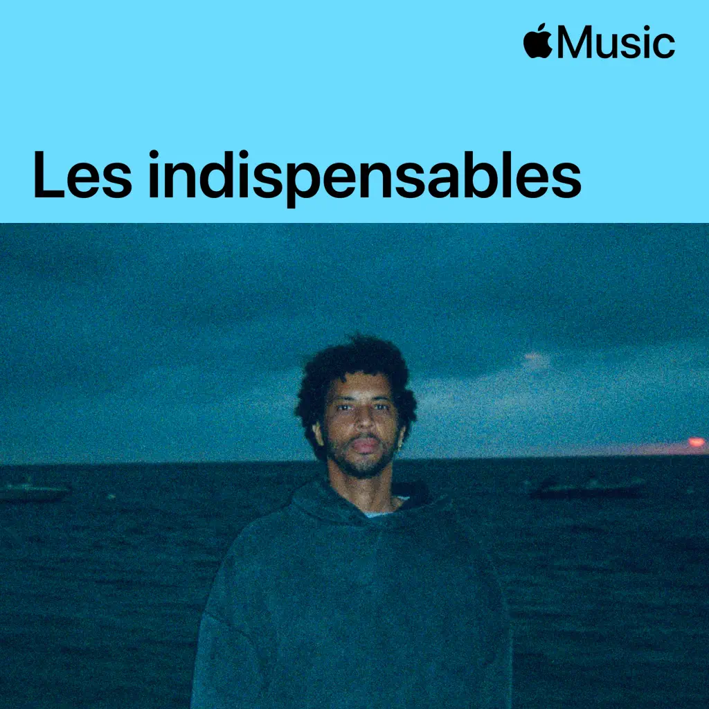 disiz : les indispensables