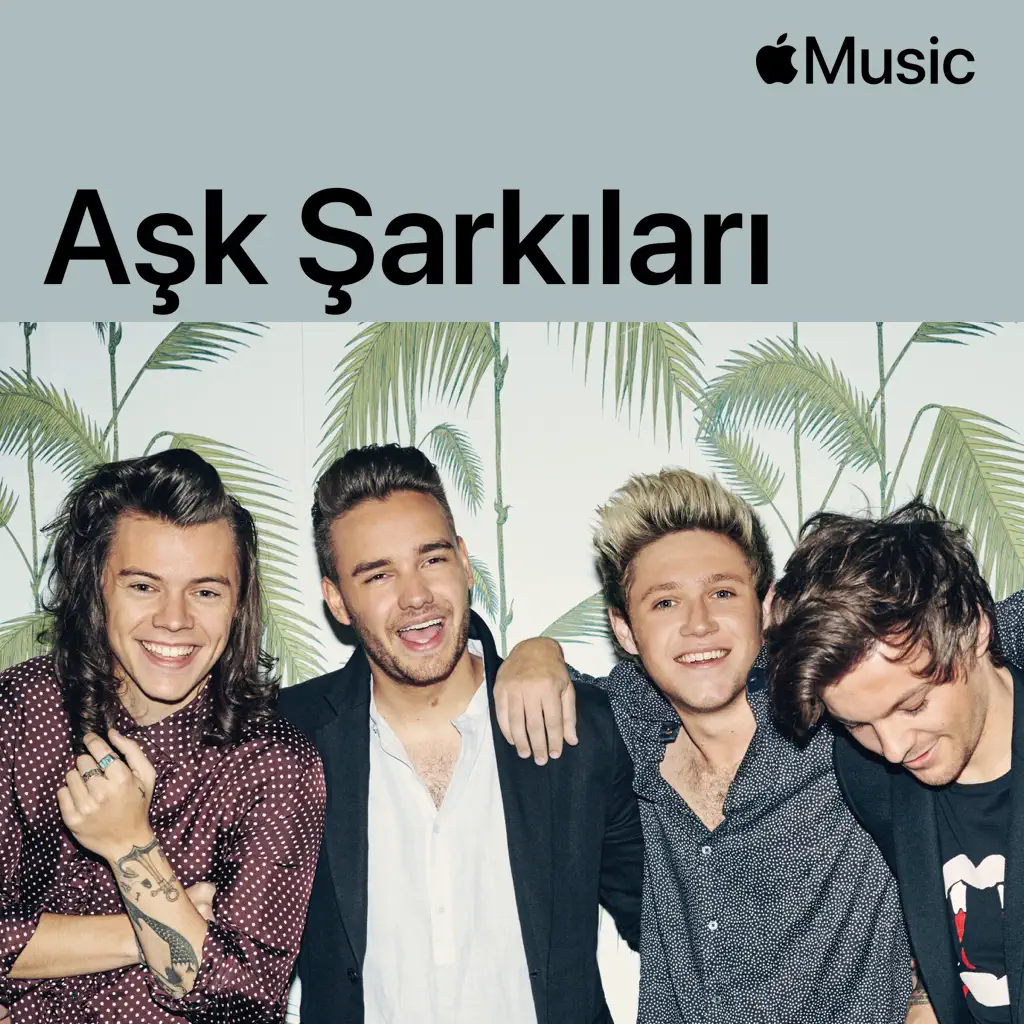 One Direction: Aşk Şarkıları