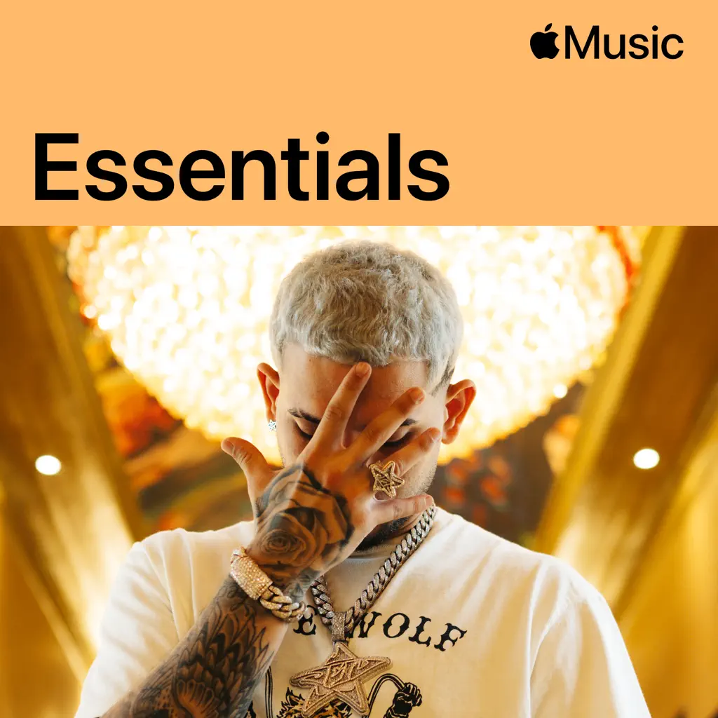 Dei V Essentials