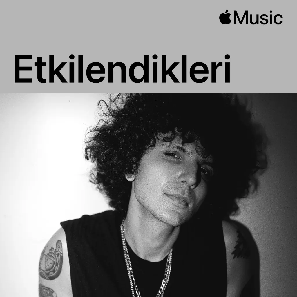 Batu Akdeniz: Influences
