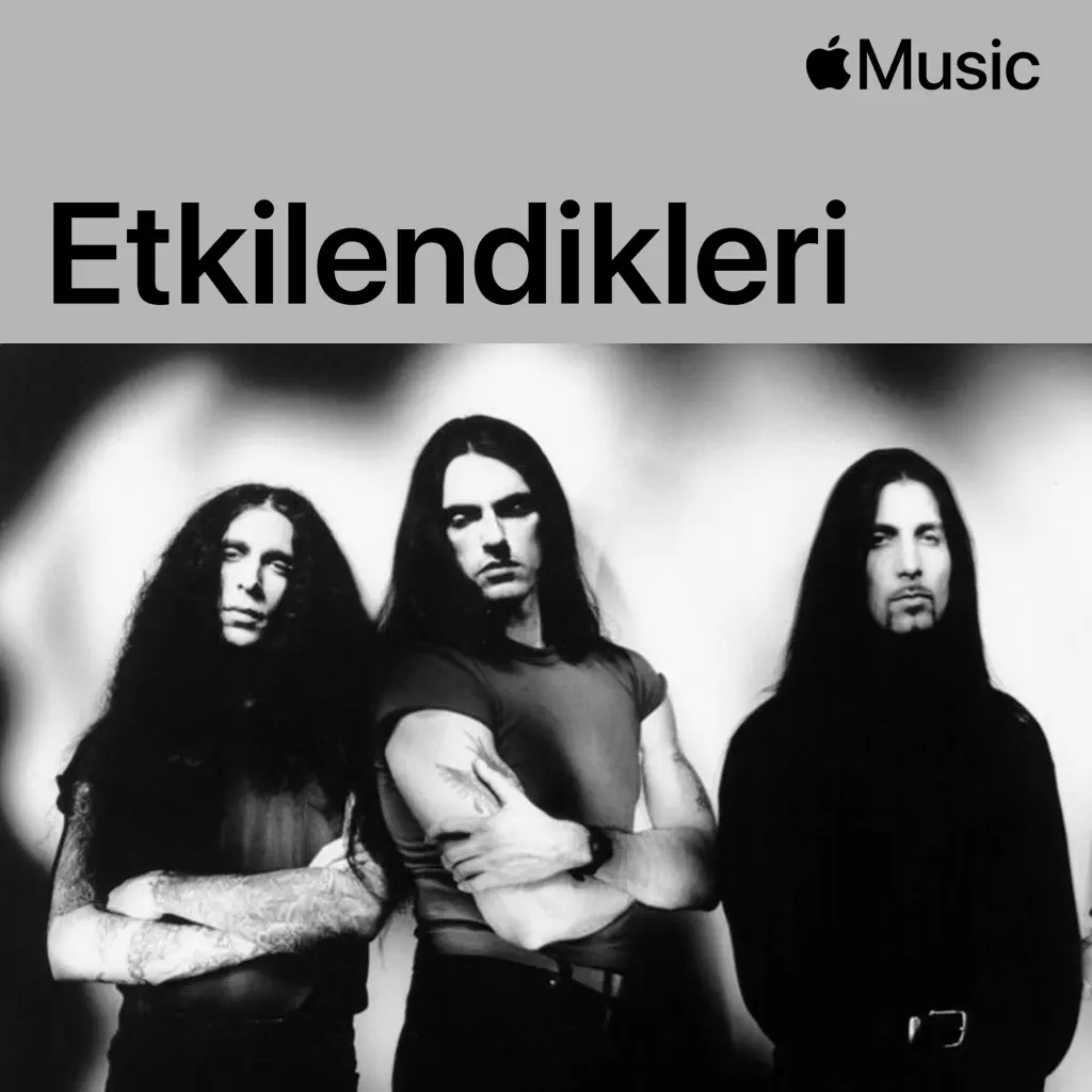 Type O Negative: Etkilendikleri