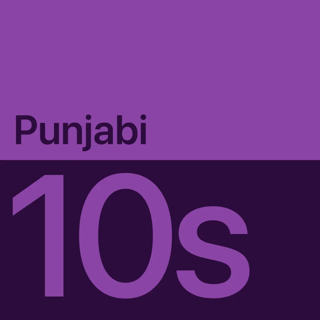 2010s Punjabi Essentials