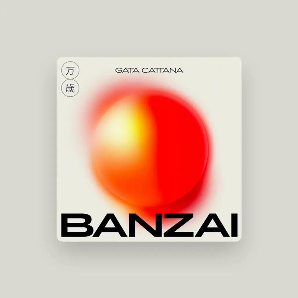 Gata Cattana