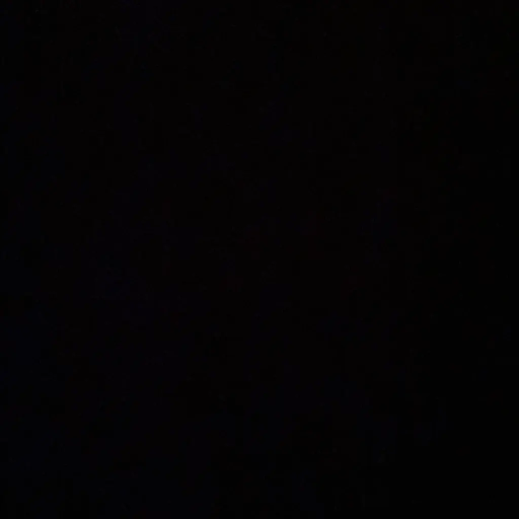 Che