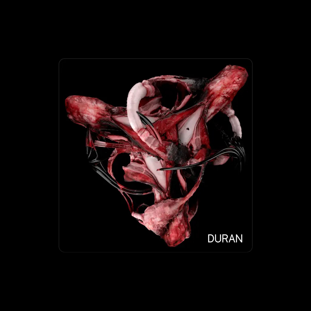Duran Duran Duran
