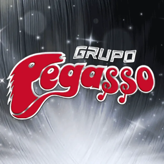 Grupo Pegasso