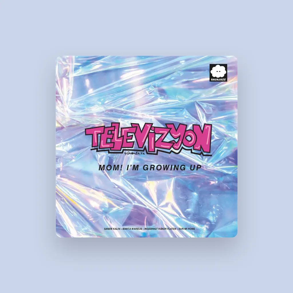 Televizyon
