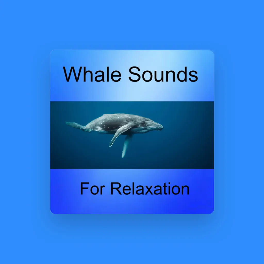 Whale Sounds Relaxation