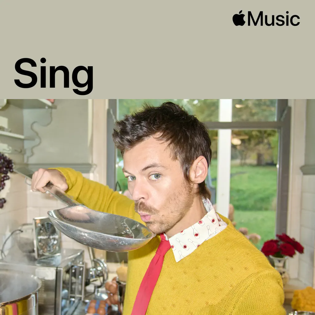 Harry Styles: Sing
