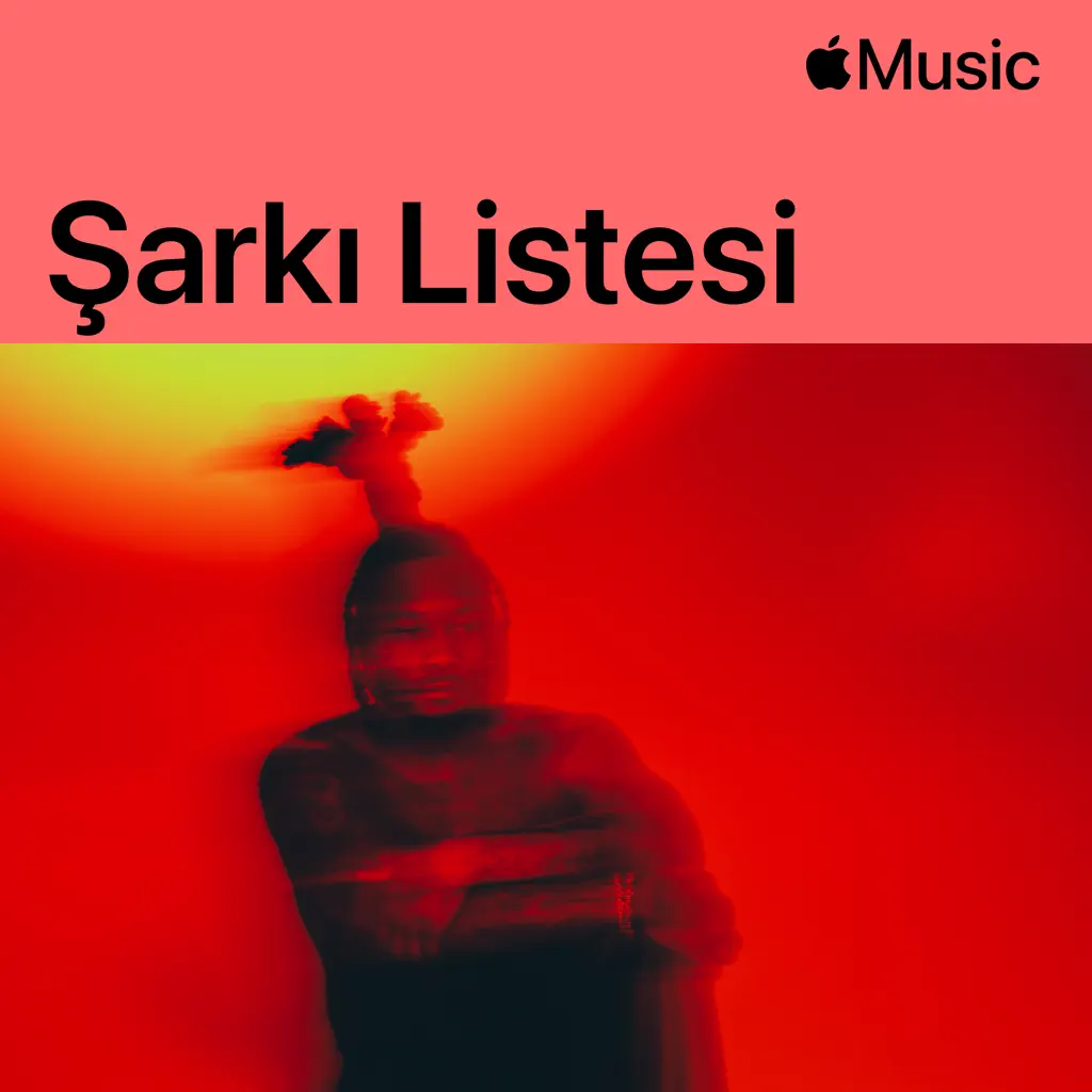 Şarkı Listesi: Offset - Set It Off Tour