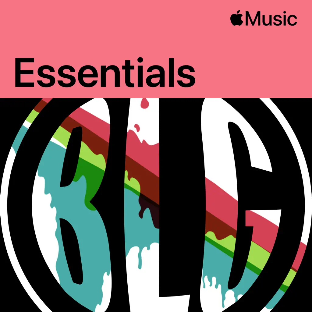 BOYS LIKE GIRLS Essentials