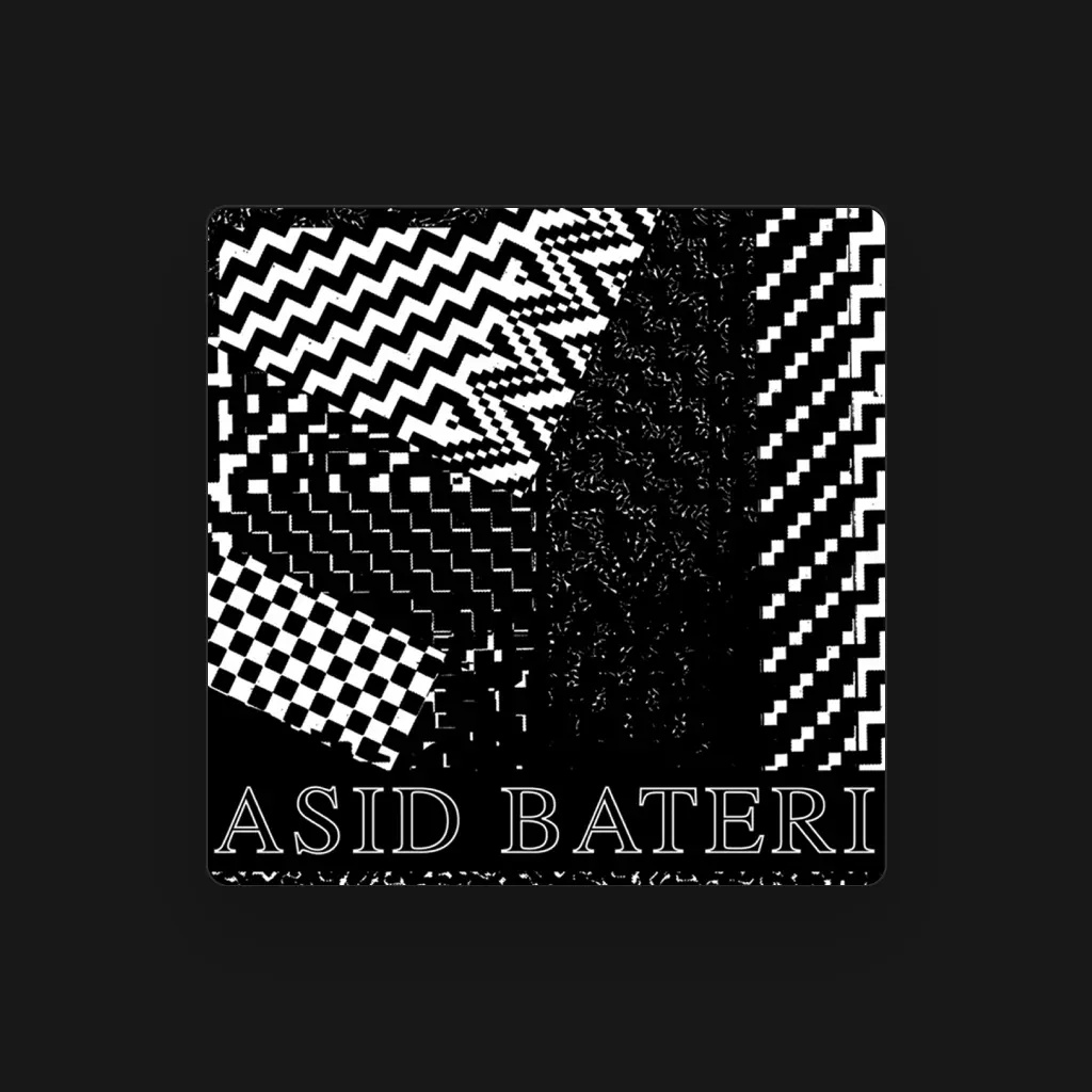 Asid Bateri