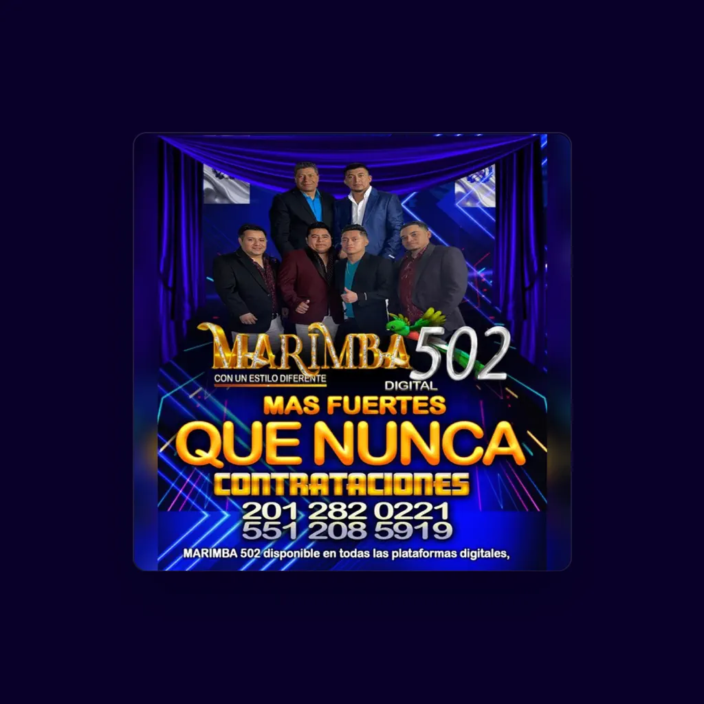 marimba 502