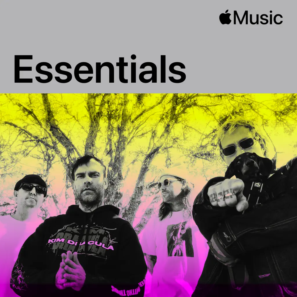 The Used Essentials