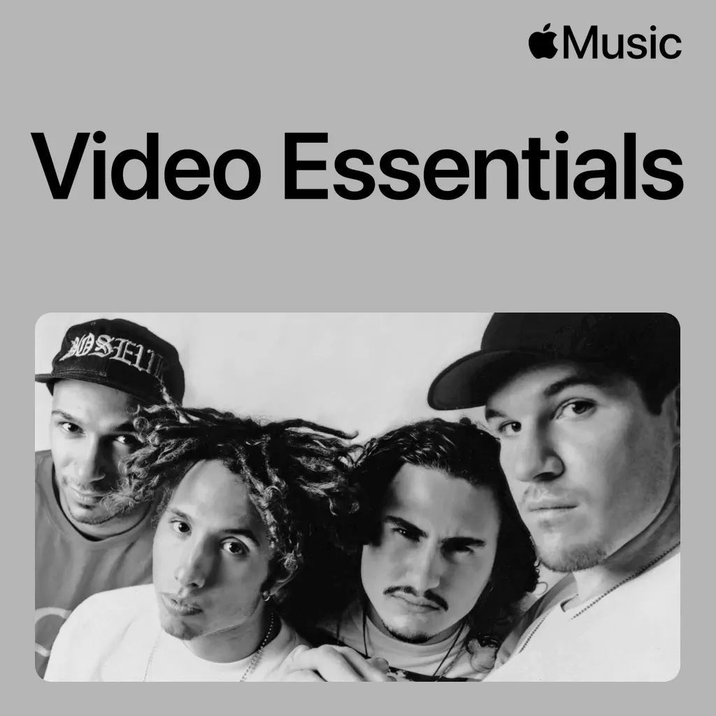 Rage Against the Machine Video Essentials