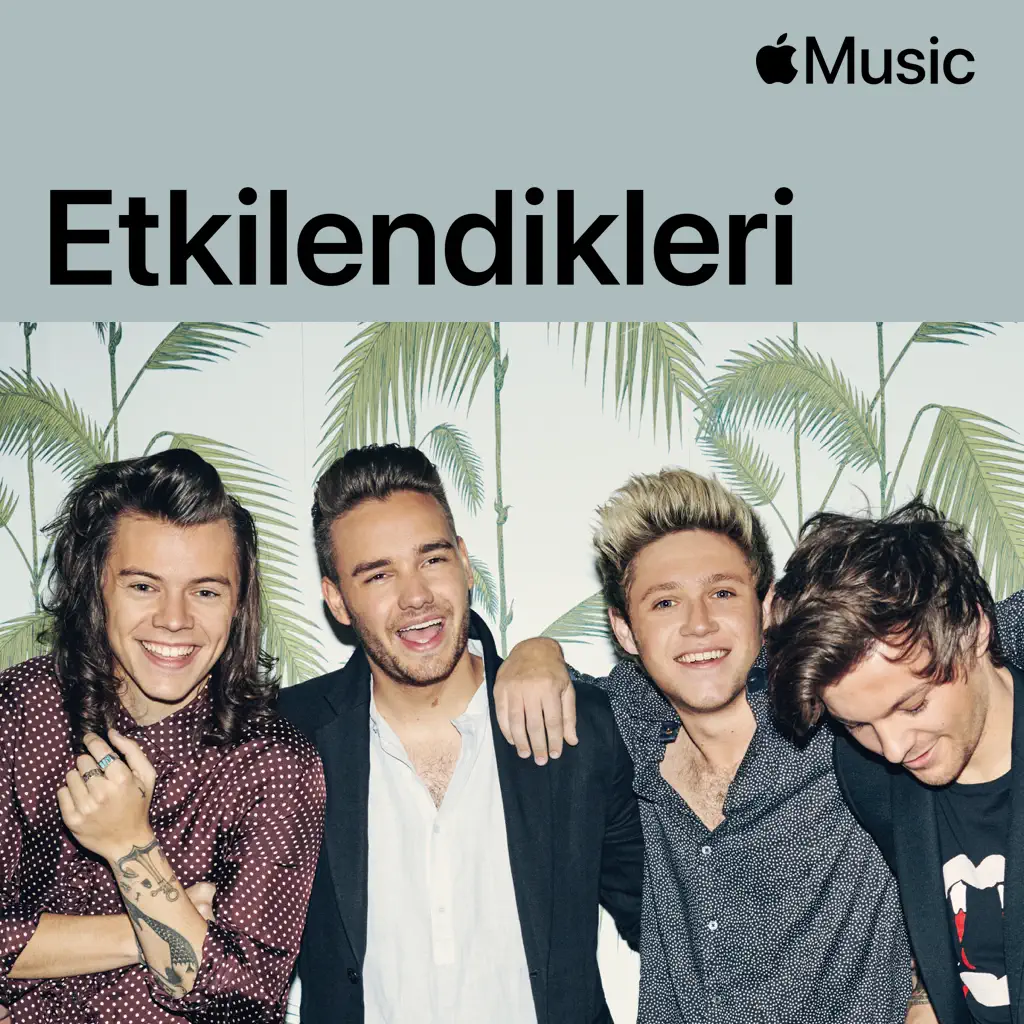 One Direction: Etkilendikleri
