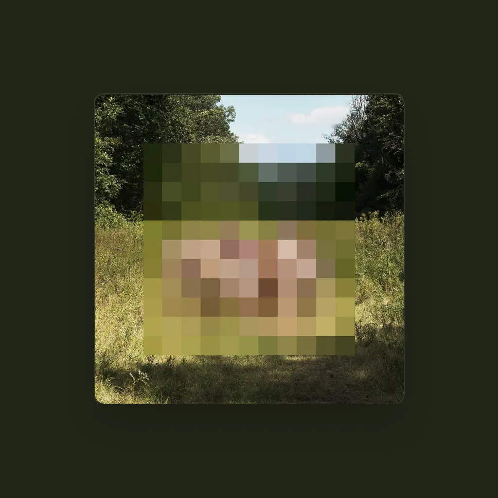 The Hotelier