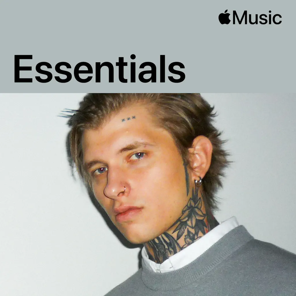 STEIN27 Essentials