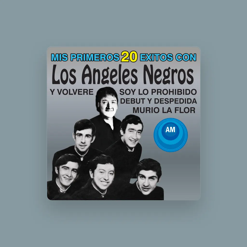 Los Ángeles Negros