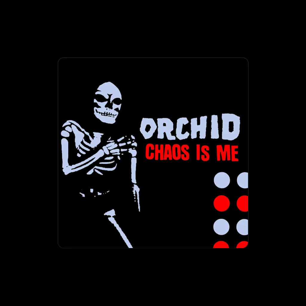 Orchid