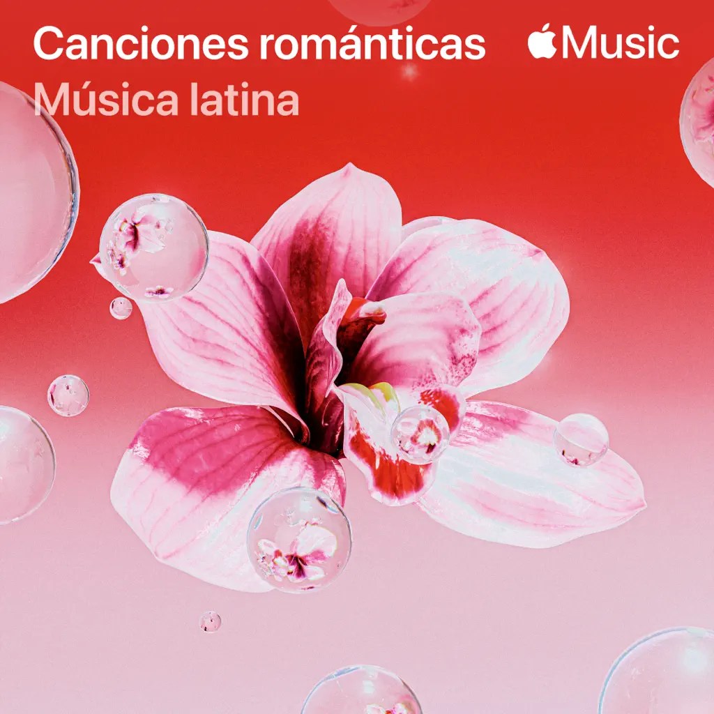 Canciones románticas: música latina