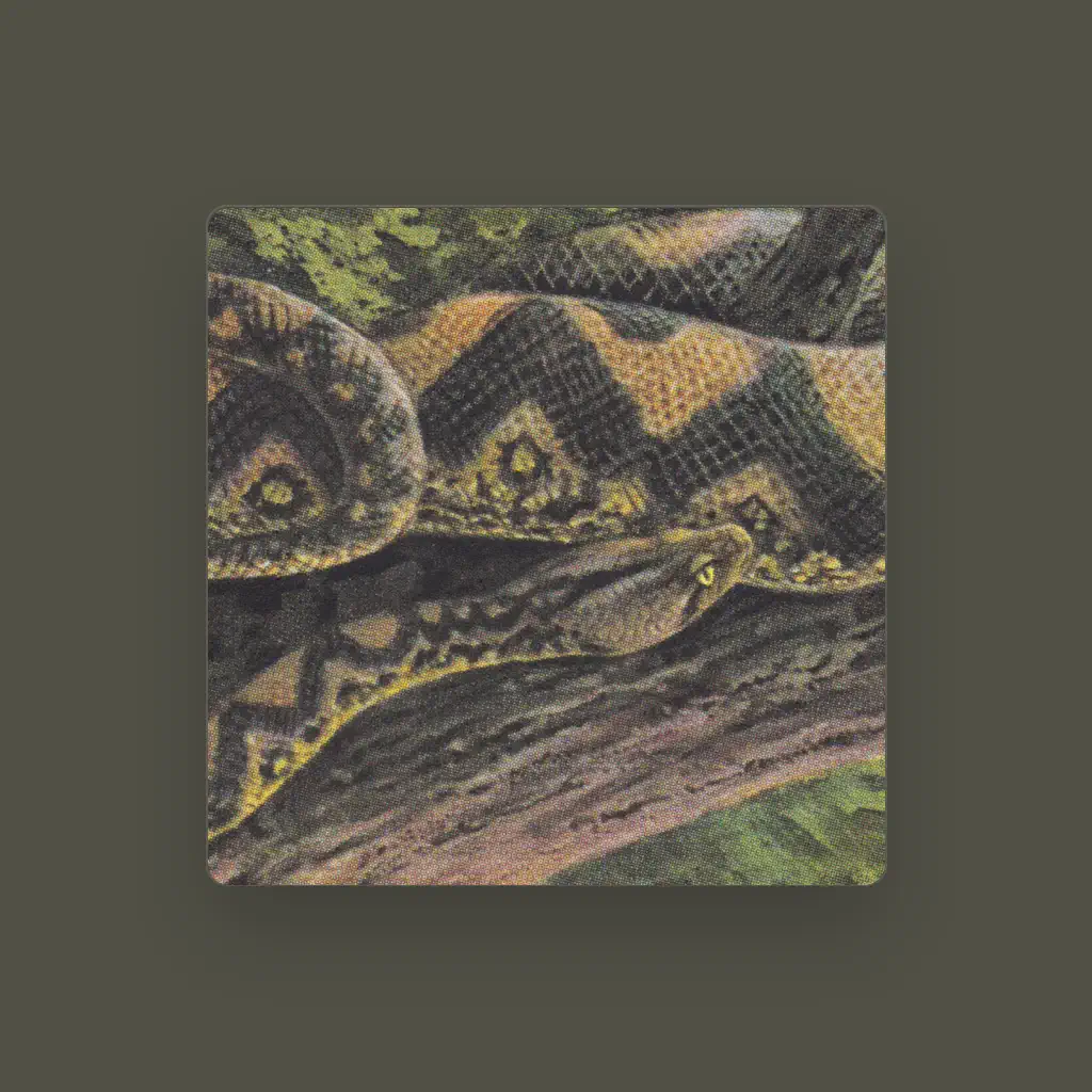 Rainforest Spiritual Enslavement