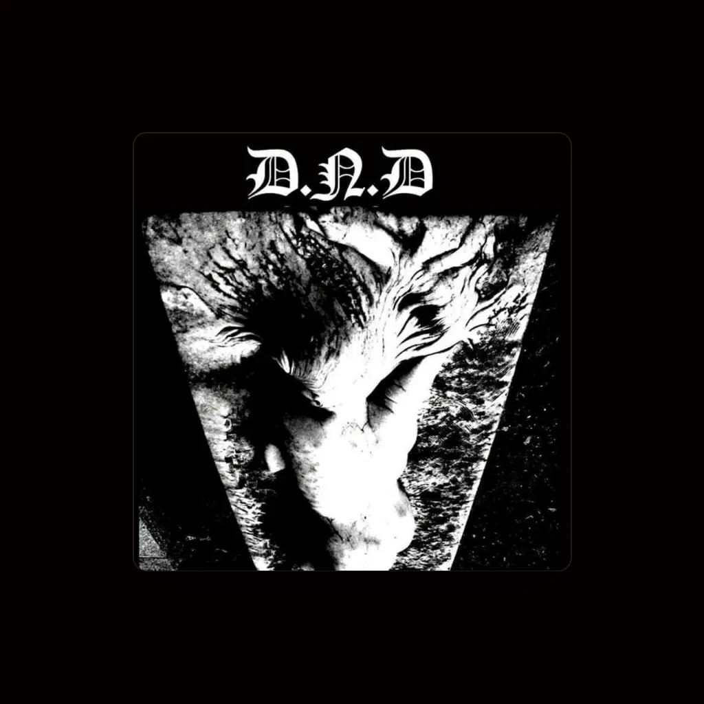 D.N.D.
