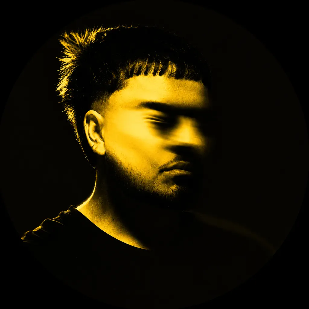 andressvn