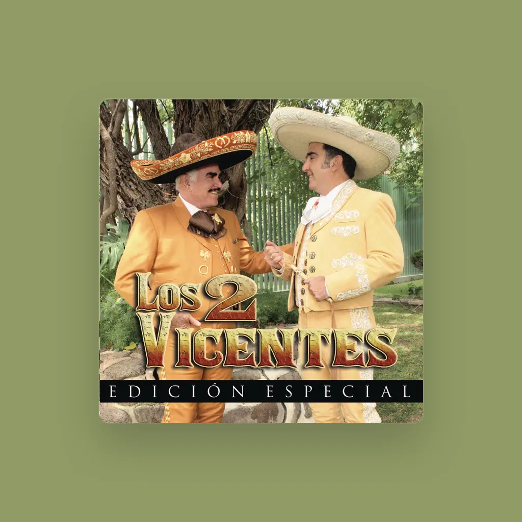 Vicente Fernandez Hijo