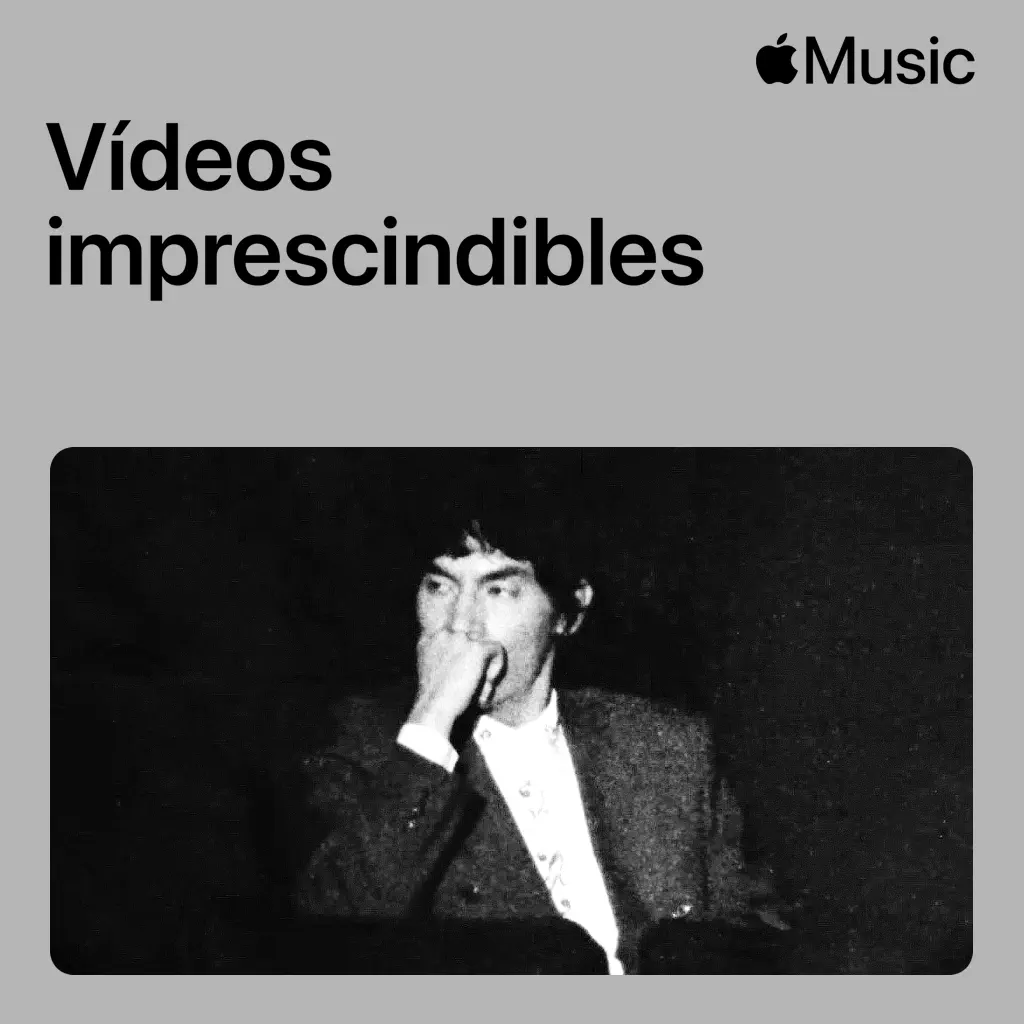 Ed Maverick: vídeos imprescindibles