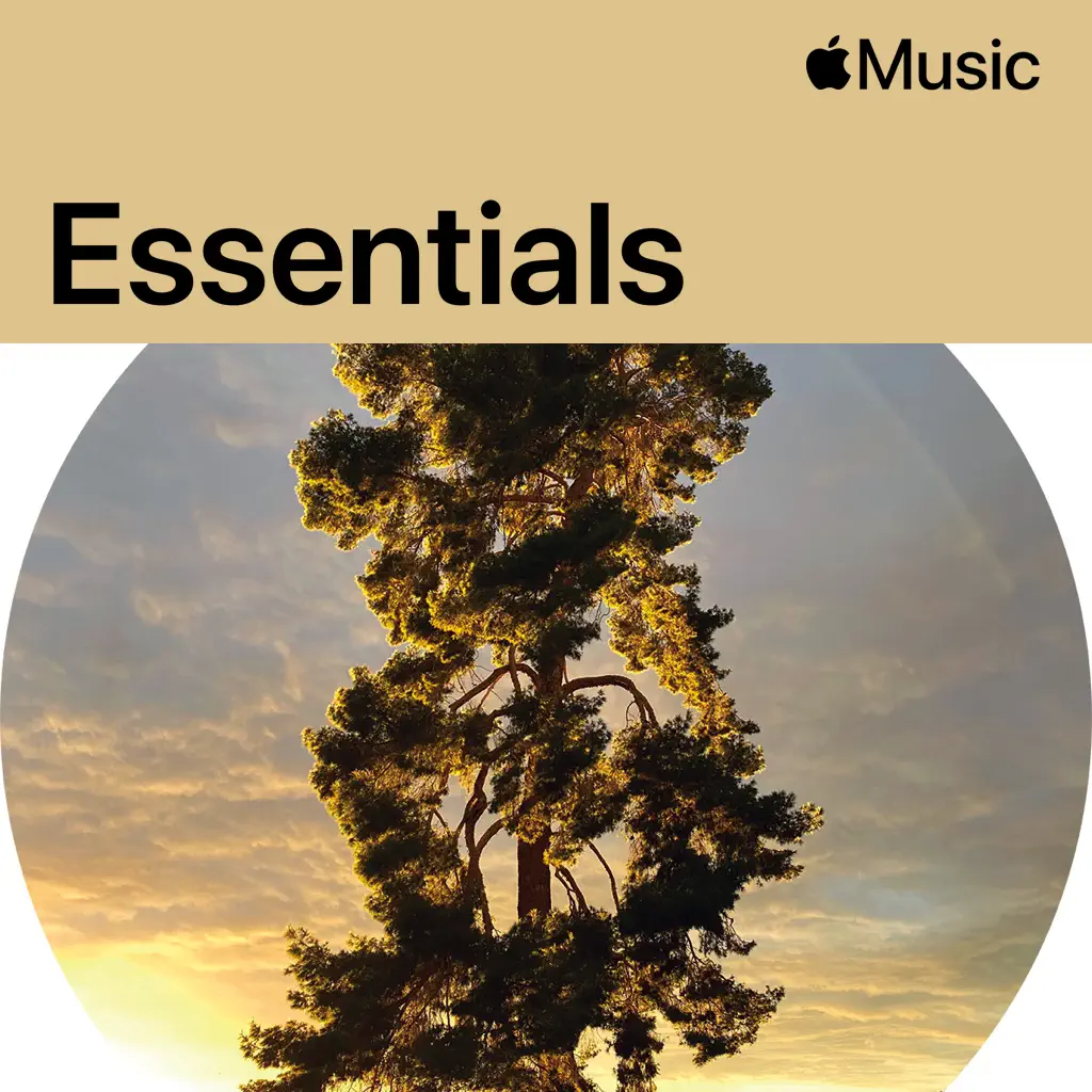Bon Iver Essentials