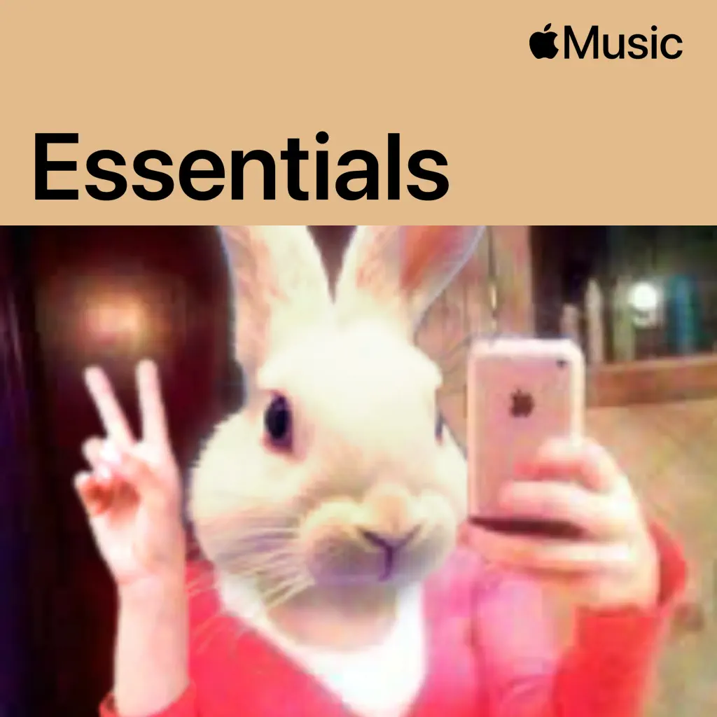 $OHO BANI Essentials
