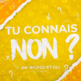 TU CONNAIS NON ? by Bigflo & Oli