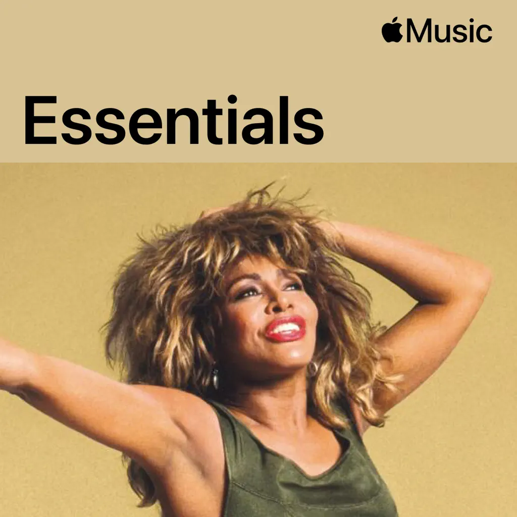 Tina Turner Essentials