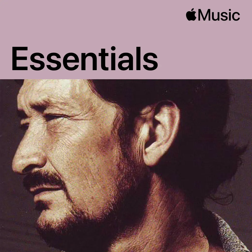 Chris Rea Essentials