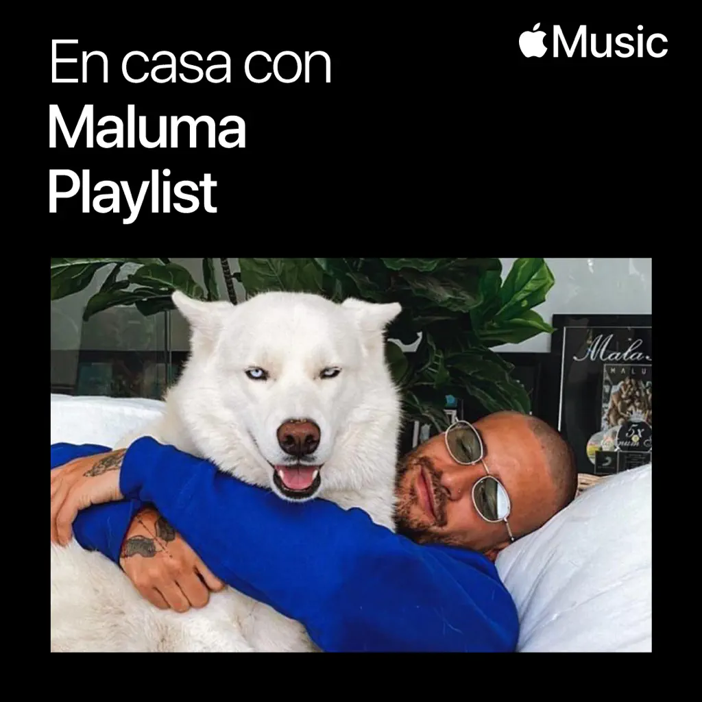 En casa con Maluma: la playlist