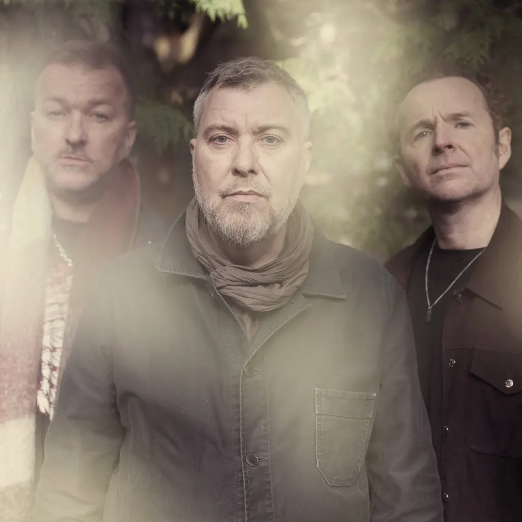 Doves