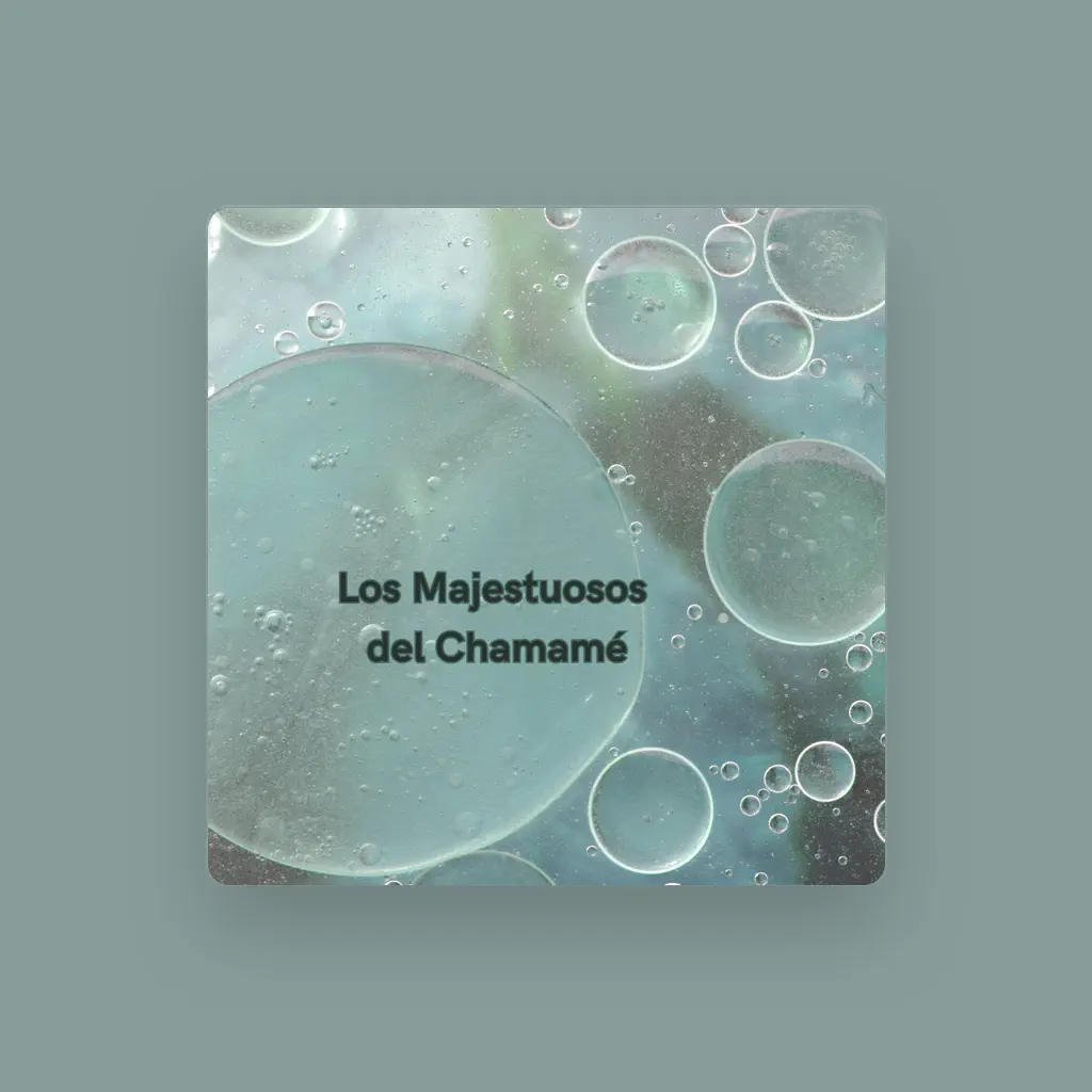 Los Majestuosos Del Chamamé