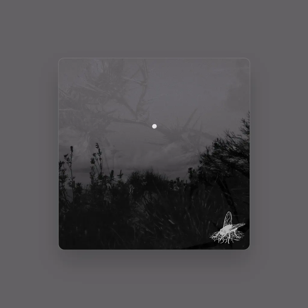Mudfly