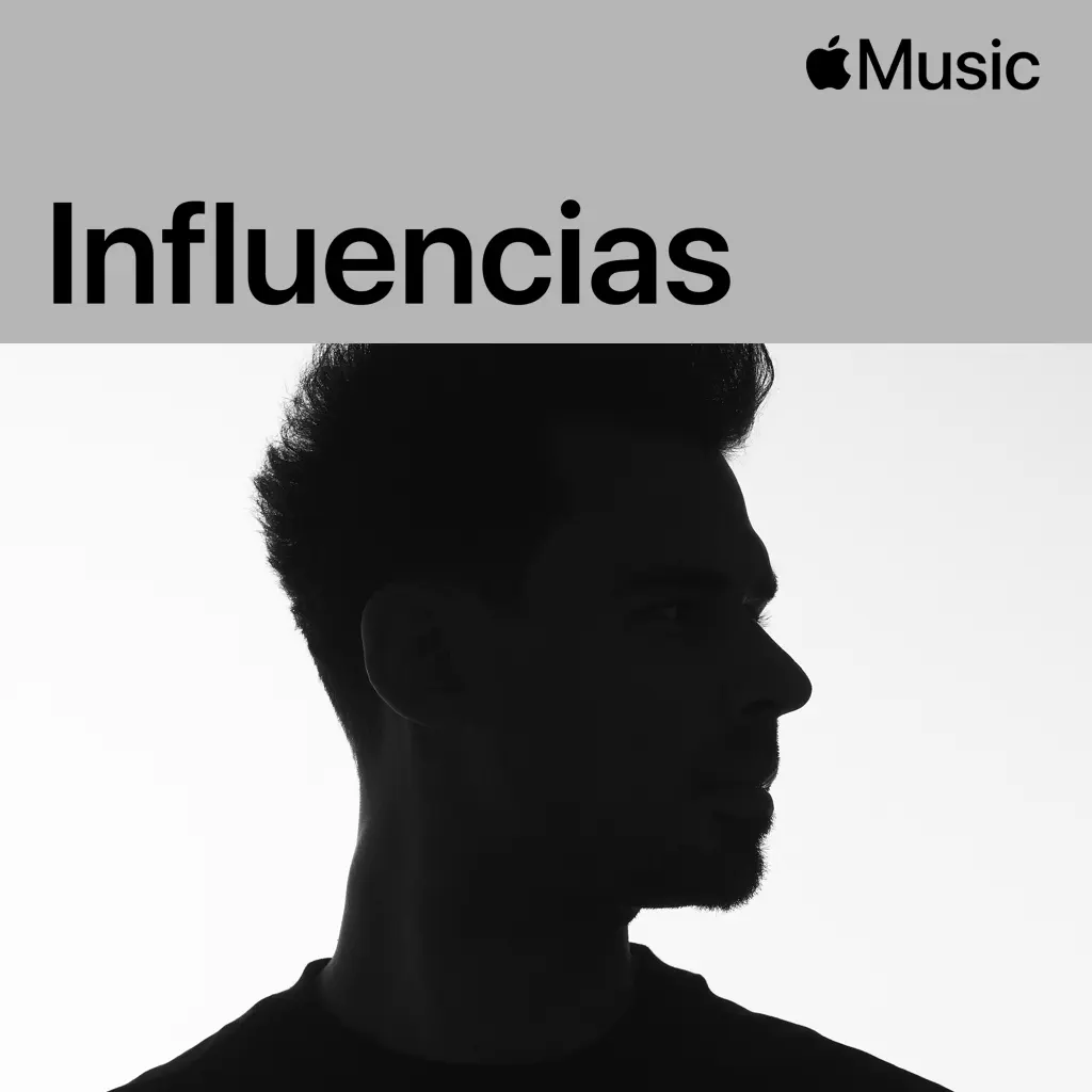 Afrojack: influencias